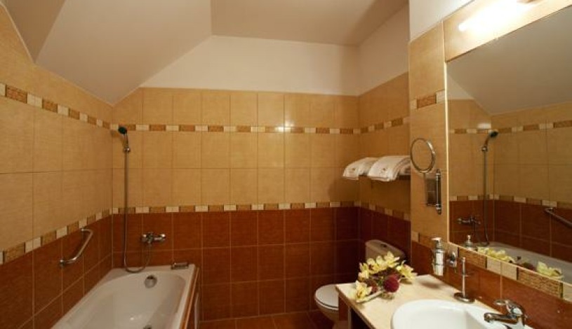 Hotel SAVOY České Budějovice